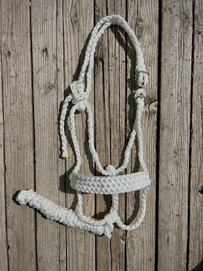 No-Tie Custom Mule Tape Horse Halter | Sizes Mini - Draft