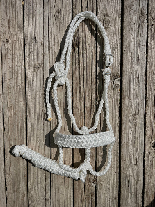 No-Tie Custom Mule Tape Horse Halter | Sizes Mini - Draft