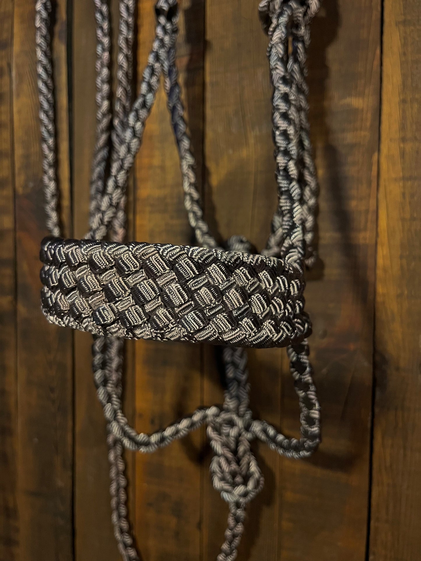 Grey-Mauve Mule Tape Horse Halter