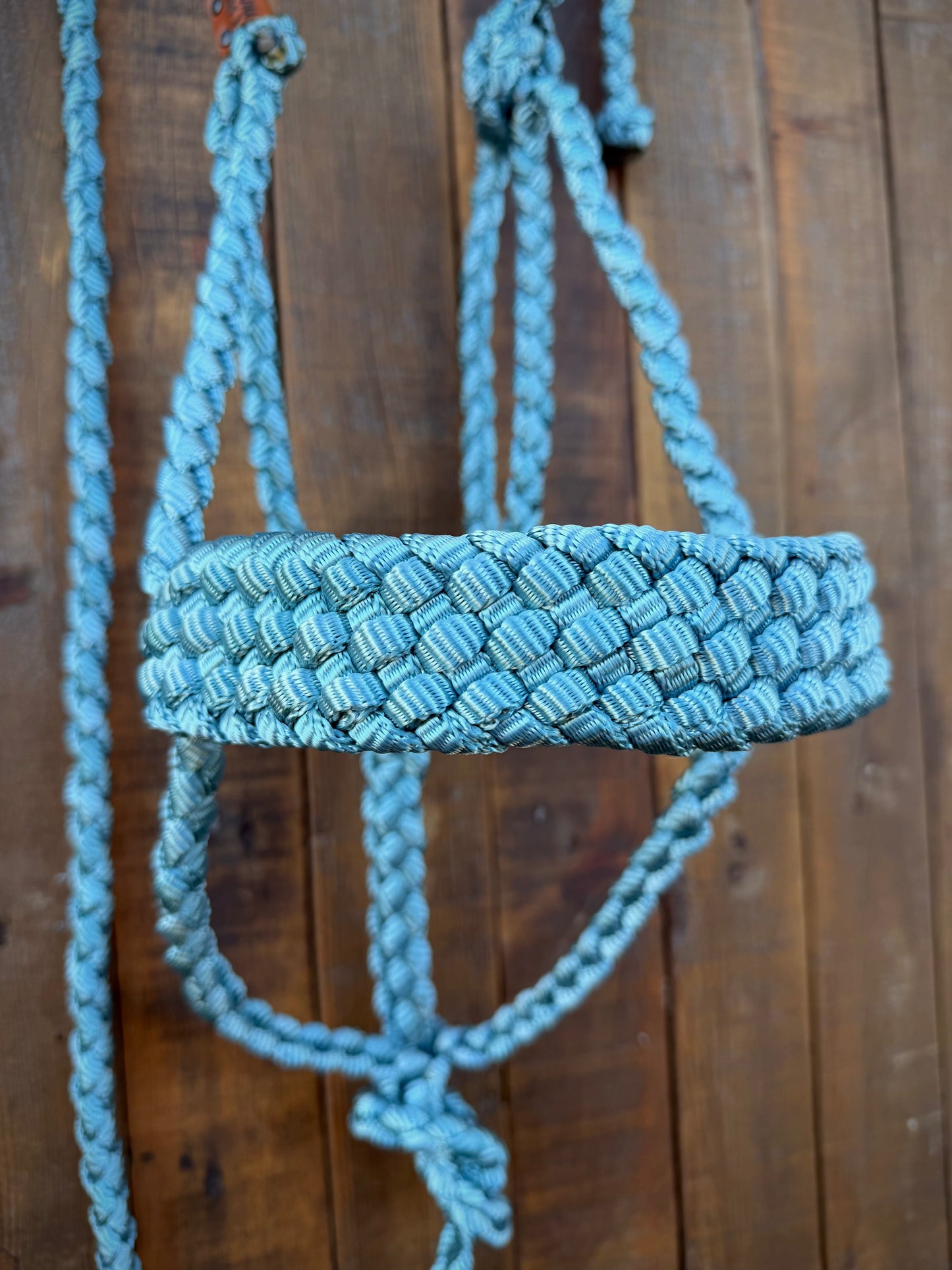 Limited Edition Dusty Blue Mule Tape Horse Halter