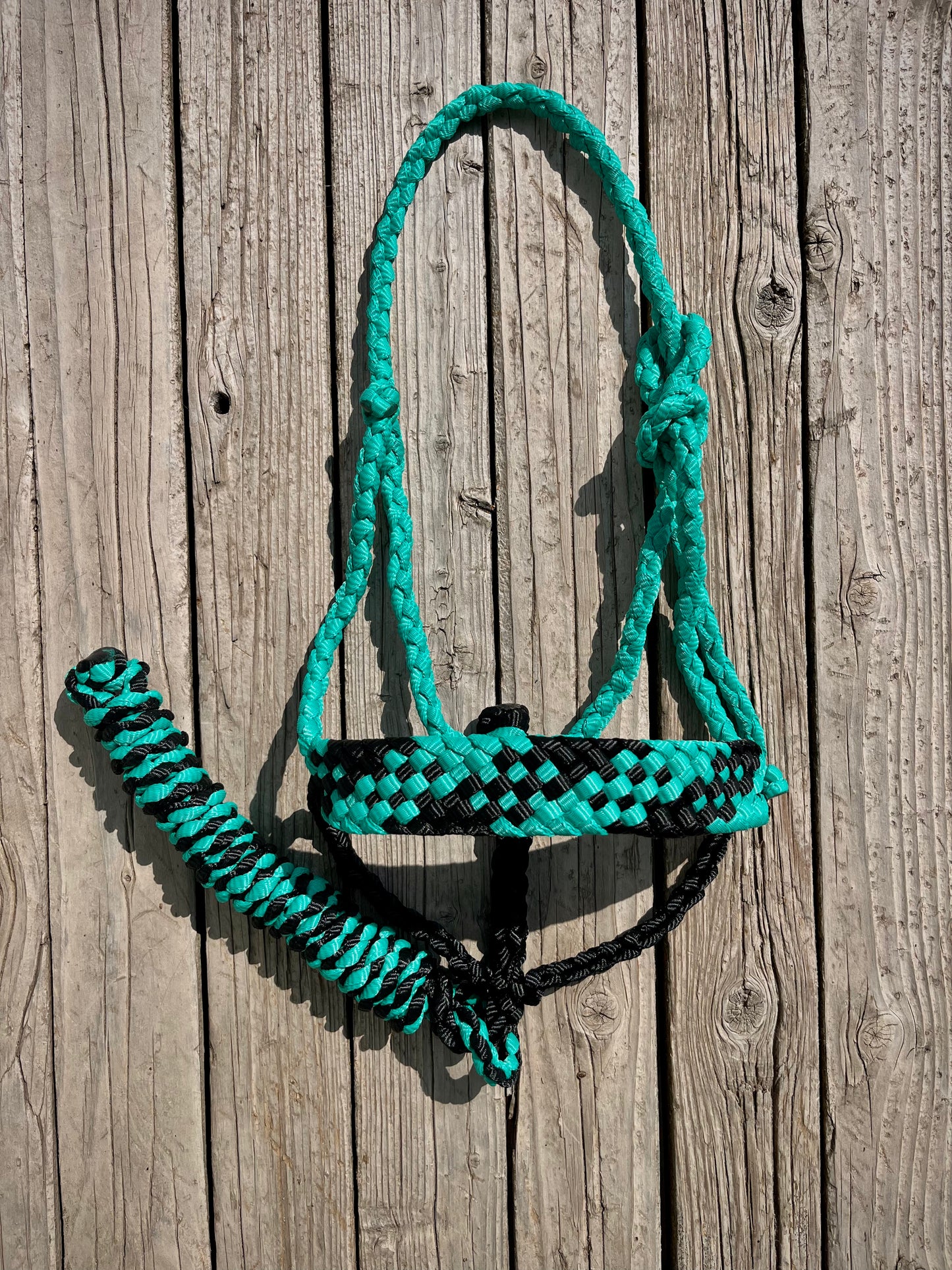 Turquoise & Black Mule Tape Halter