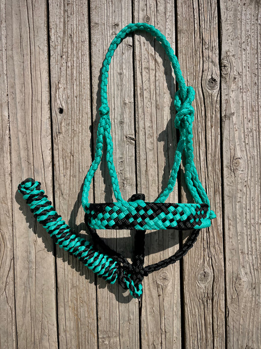 Turquoise & Black Mule Tape Halter