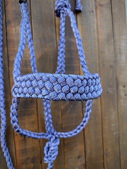Limited Edition Blueberry Mule Tape Horse Halter
