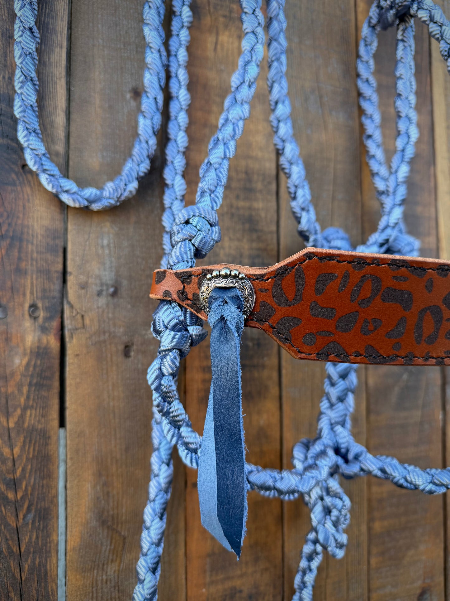 Cheetah Print Bronc Nose Band and Denim Blue Mule Tape Horse Halter