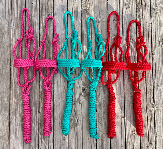 Mini & Pony Size Mule Tape Halters | Pink, Turquoise, & Red