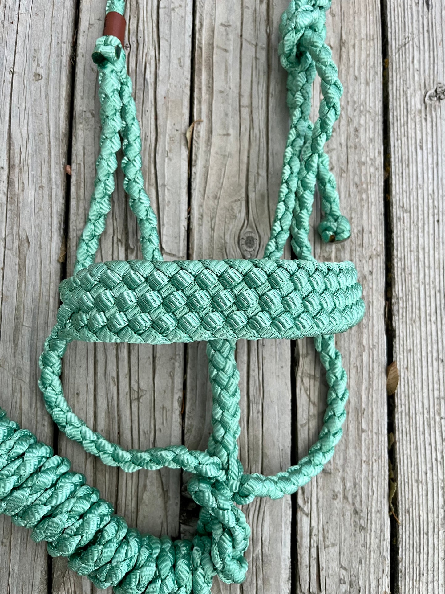 Mint Green Mule Tape Halter