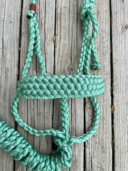 Mint Green Mule Tape Halter