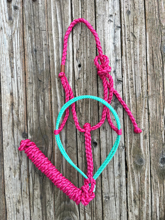 Turquoise & Pink Horse Double Lariat Mule Tape Halter