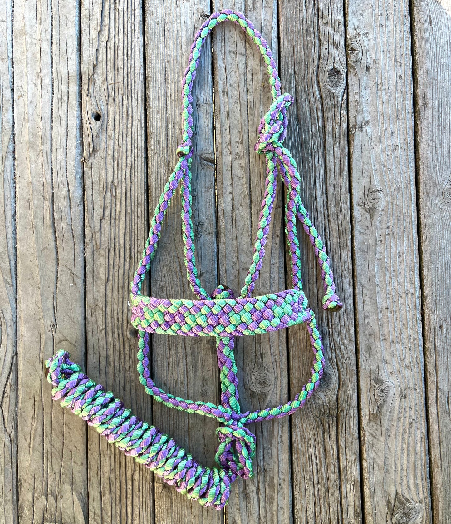 Limited Edition Light Green & Lavender Mule Tape Horse Halter