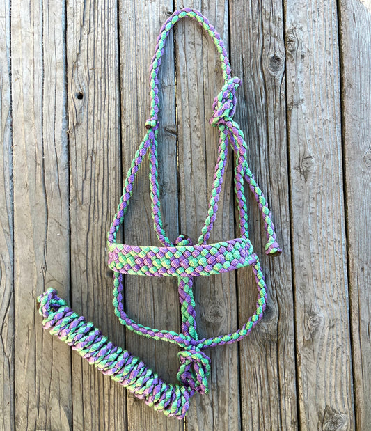 Limited Edition Light Green & Lavender Mule Tape Horse Halter