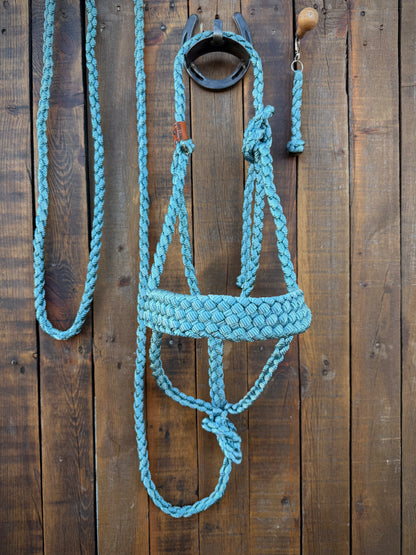 Limited Edition Dusty Blue Mule Tape Horse Halter