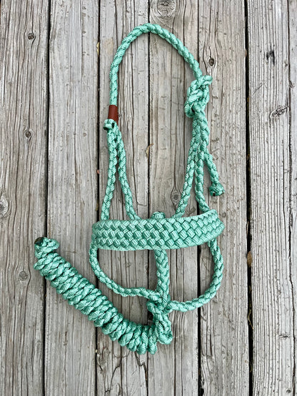 Mint Green Mule Tape Halter