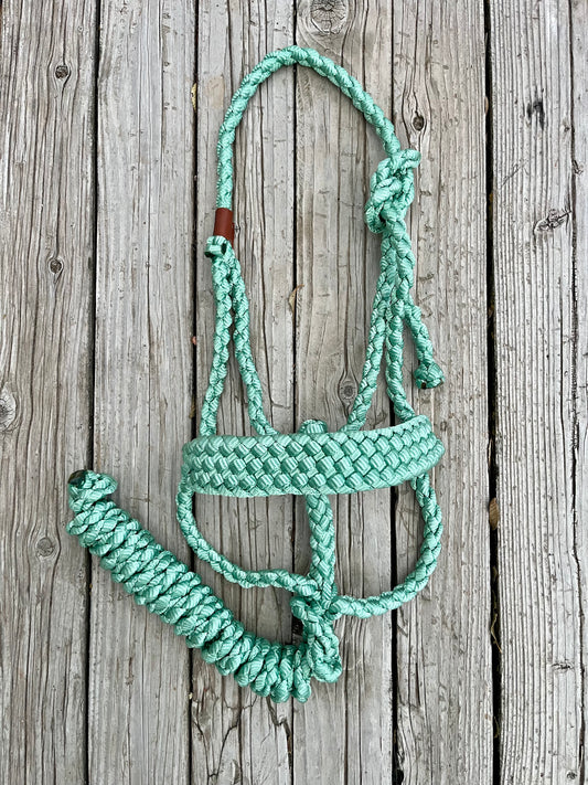 Mint Green Mule Tape Halter