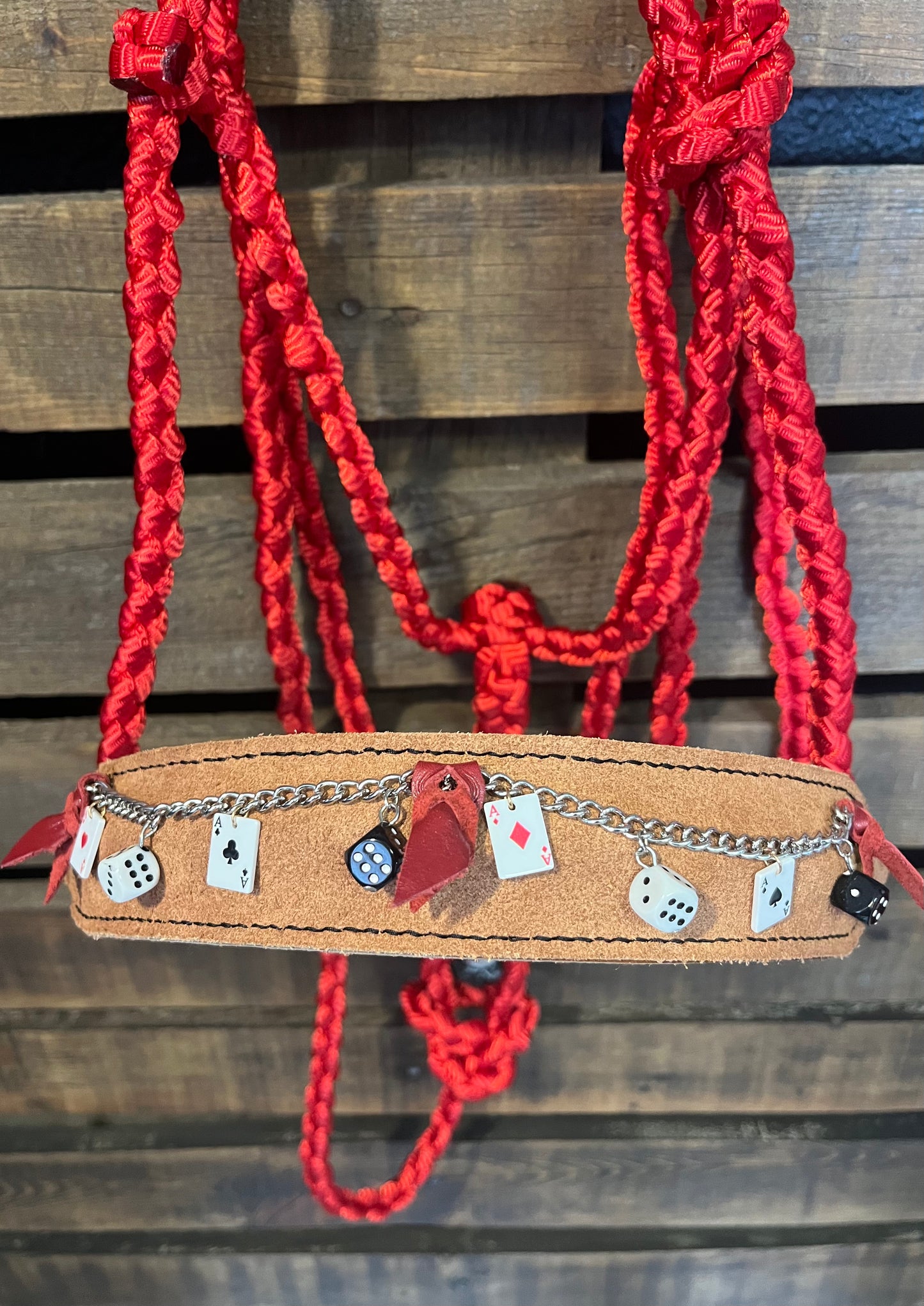 Vegas Theme Charm Horse Halter | Red Mule Tape Halter with Lariat Nose Band