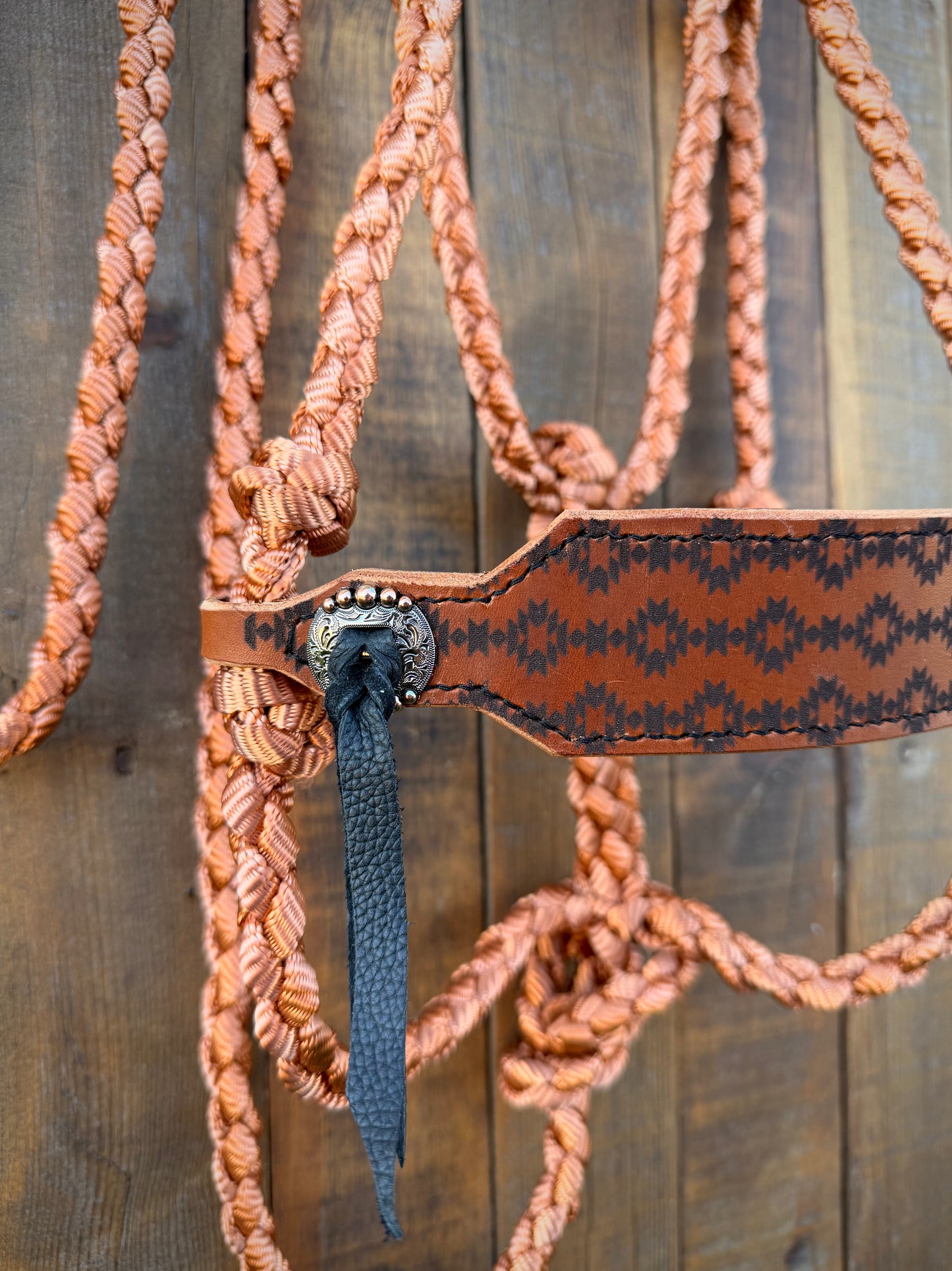 Aztec Bronc Nose Band and Copper Mule Tape Horse Halter