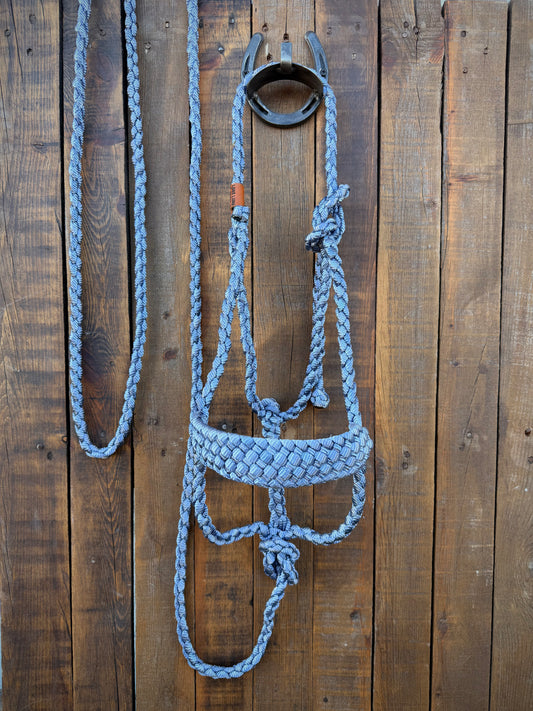 Denim Blue Mule Tape Horse Halter
