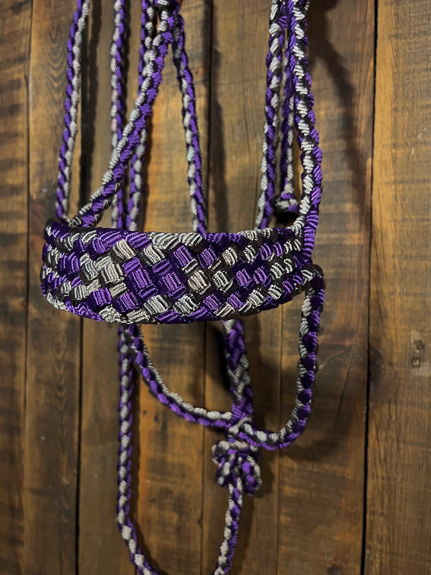 Purple and Grey-Mauve Mule Tape Horse Halter