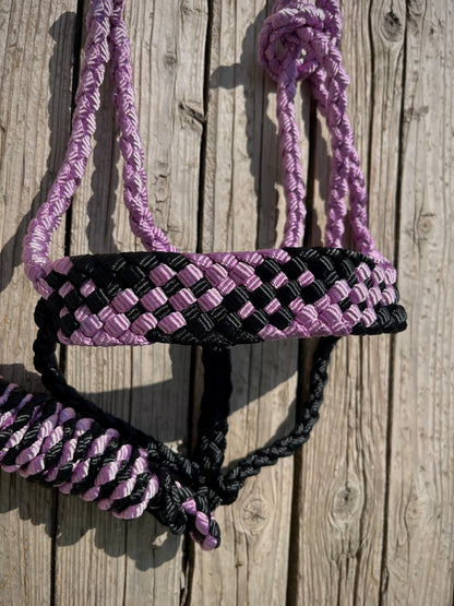 Lavender & Black Mule Tape Halter