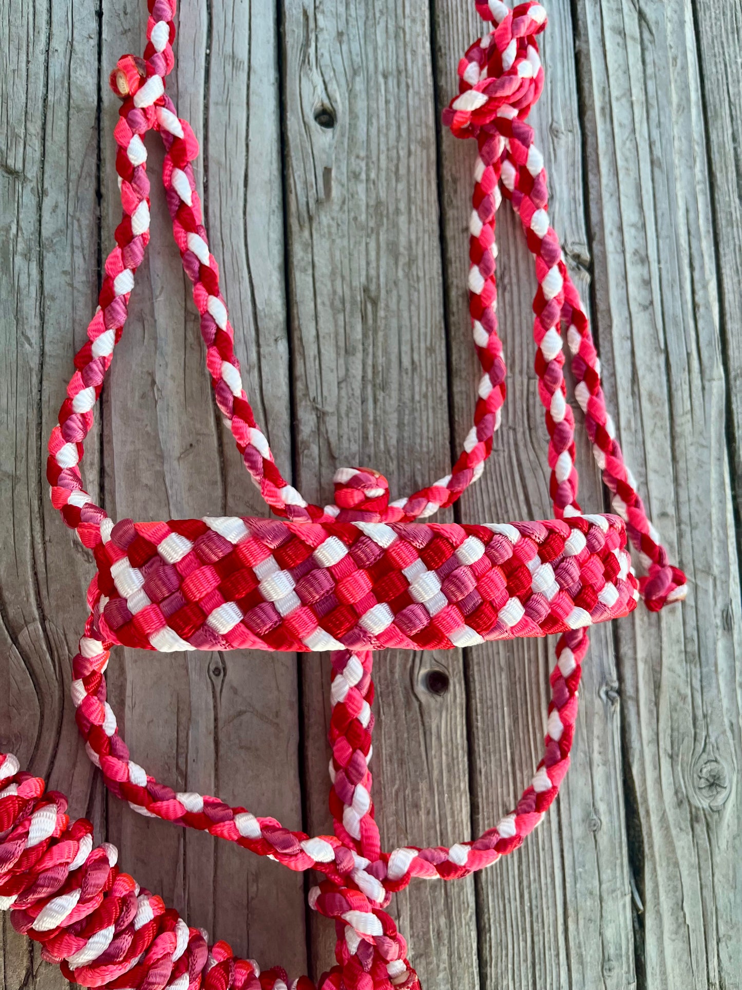 Pink, Red, Raspberry, White Mule Tape Halter