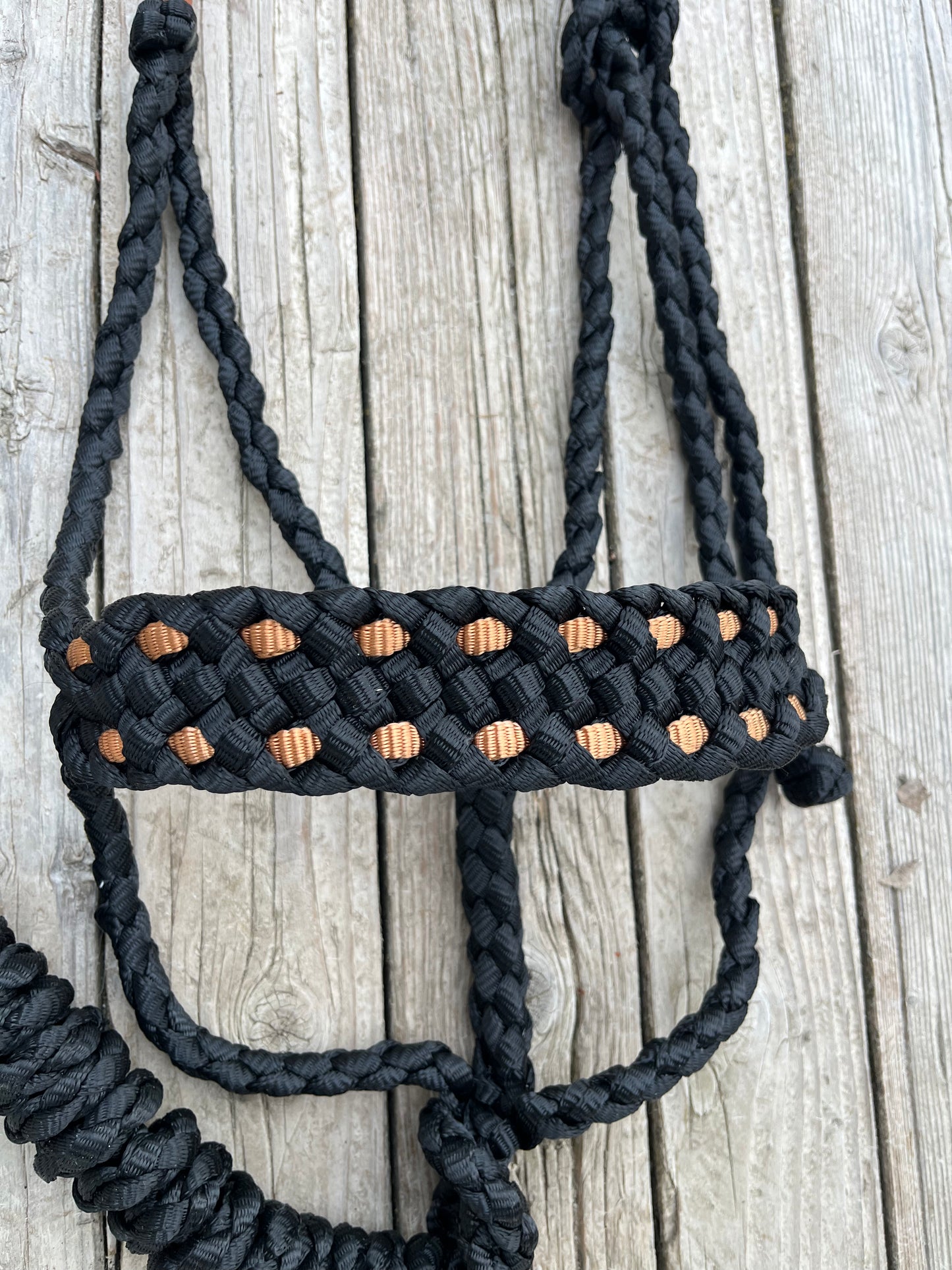 Black with Copper “Buck stitch” Mule Tape Halter