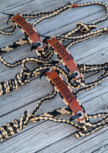 Custom Mule Tape Halter with Conchos