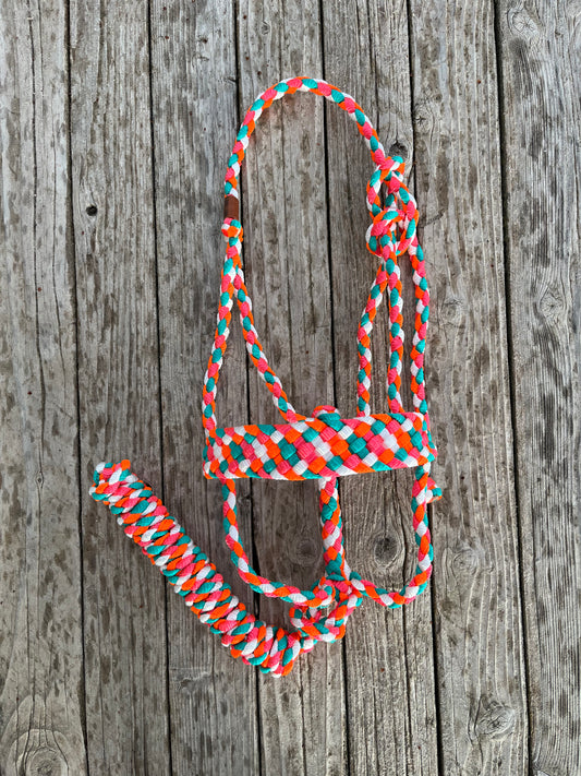 Neon Mule Tape Halter | Turquoise, Neon Orange, Neon Pink, and White