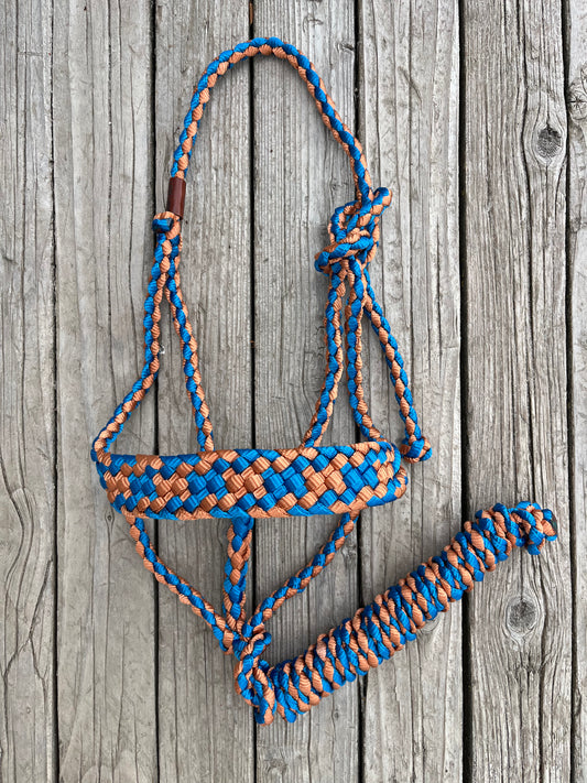 Limited Edition Burnt Orange & Royal Blue Horse Mule Tape Halter
