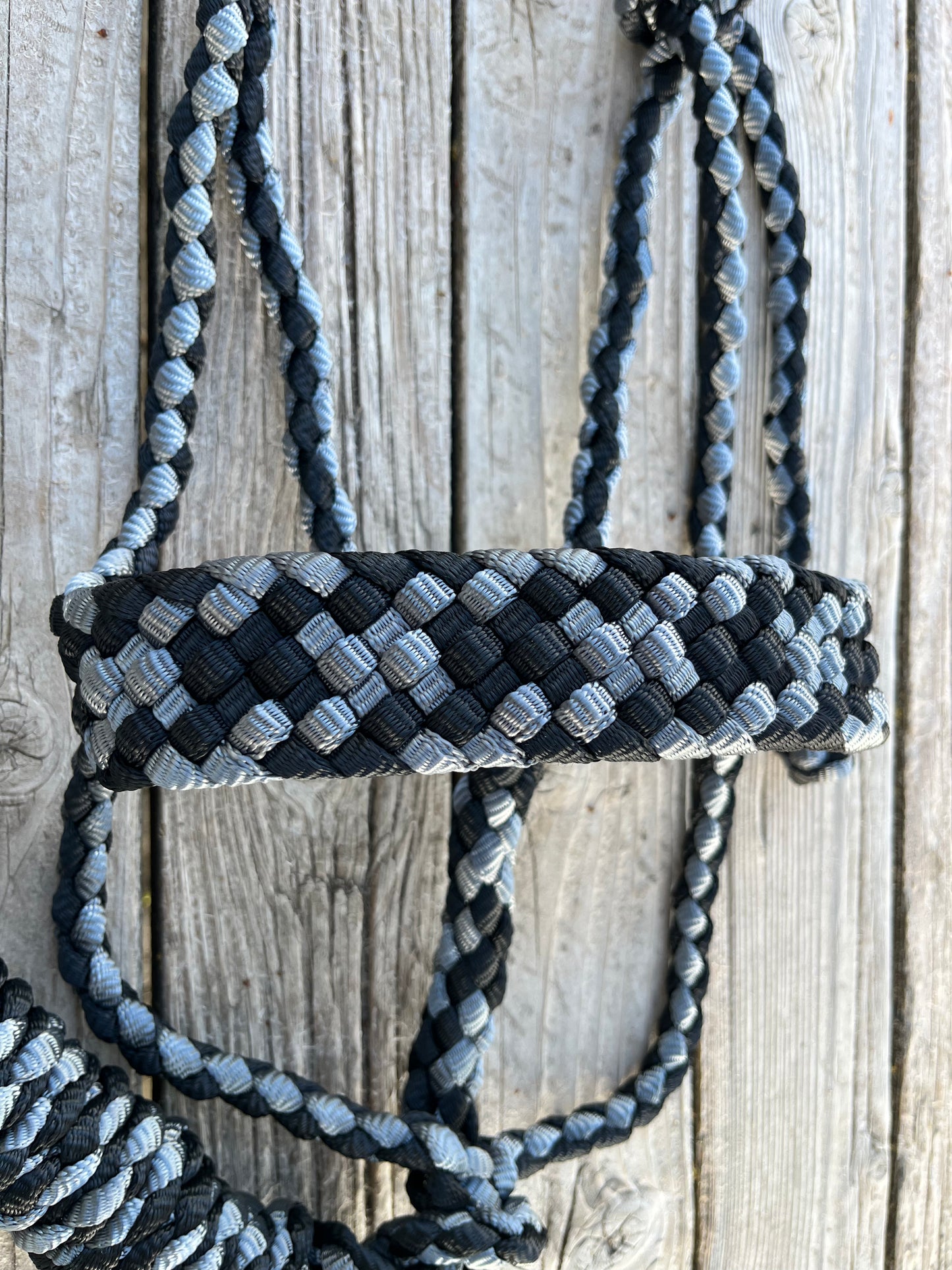 Black & Silver Mule Tape Halter