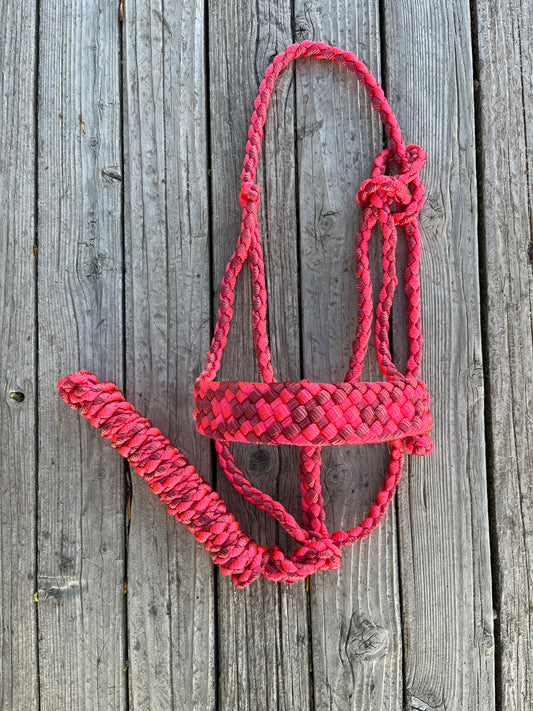 Neon Pink & Raspberry Mule Tape Halter