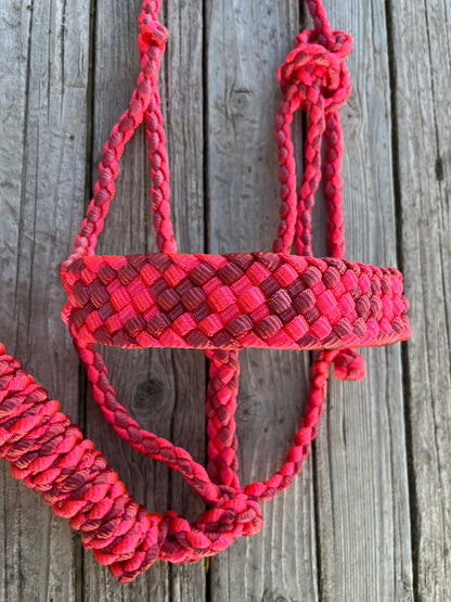 Neon Pink & Raspberry Mule Tape Halter