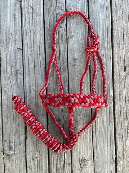 Red & Brick Red Mule Tape Halter