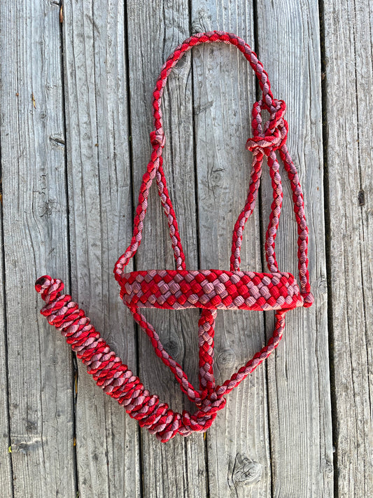 Red & Brick Red Mule Tape Halter