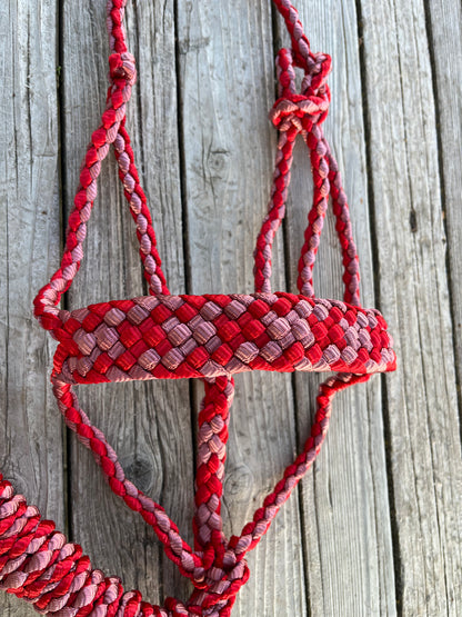 Red & Brick Red Mule Tape Halter