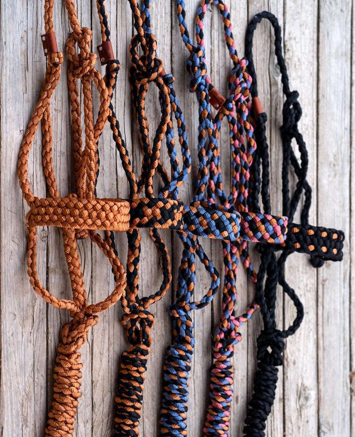 Custom Mule Tape Halter | Sizes Mini - Draft
