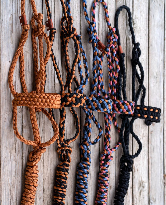 Custom Mule Tape Halter | Sizes Mini - Draft