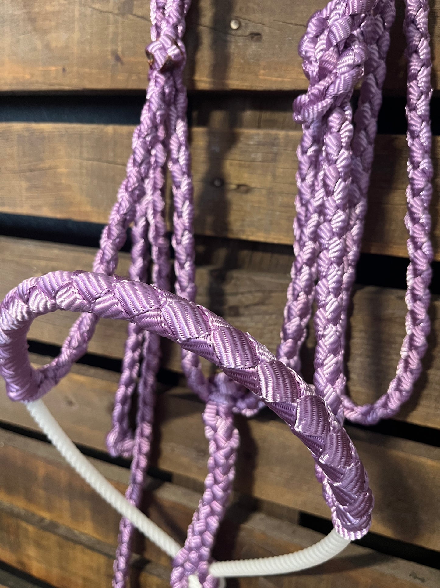 Lavender Lariat Horse Halter