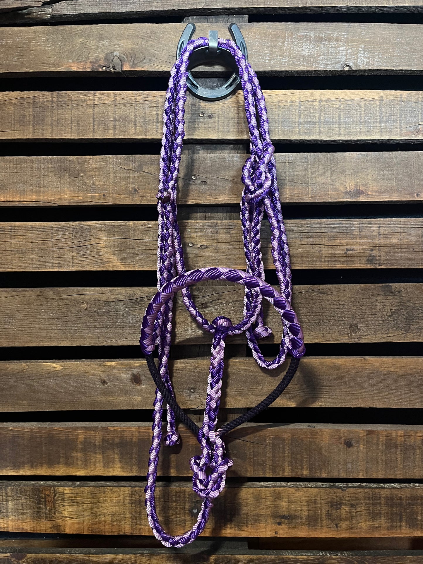 Lavender & Purple Lariat Horse Halter