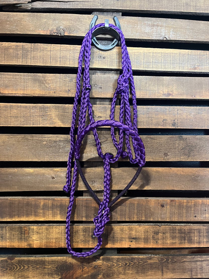 Purple Lariat Horse Halter