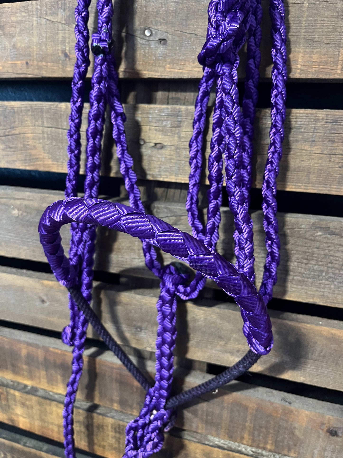 Purple Lariat Horse Halter
