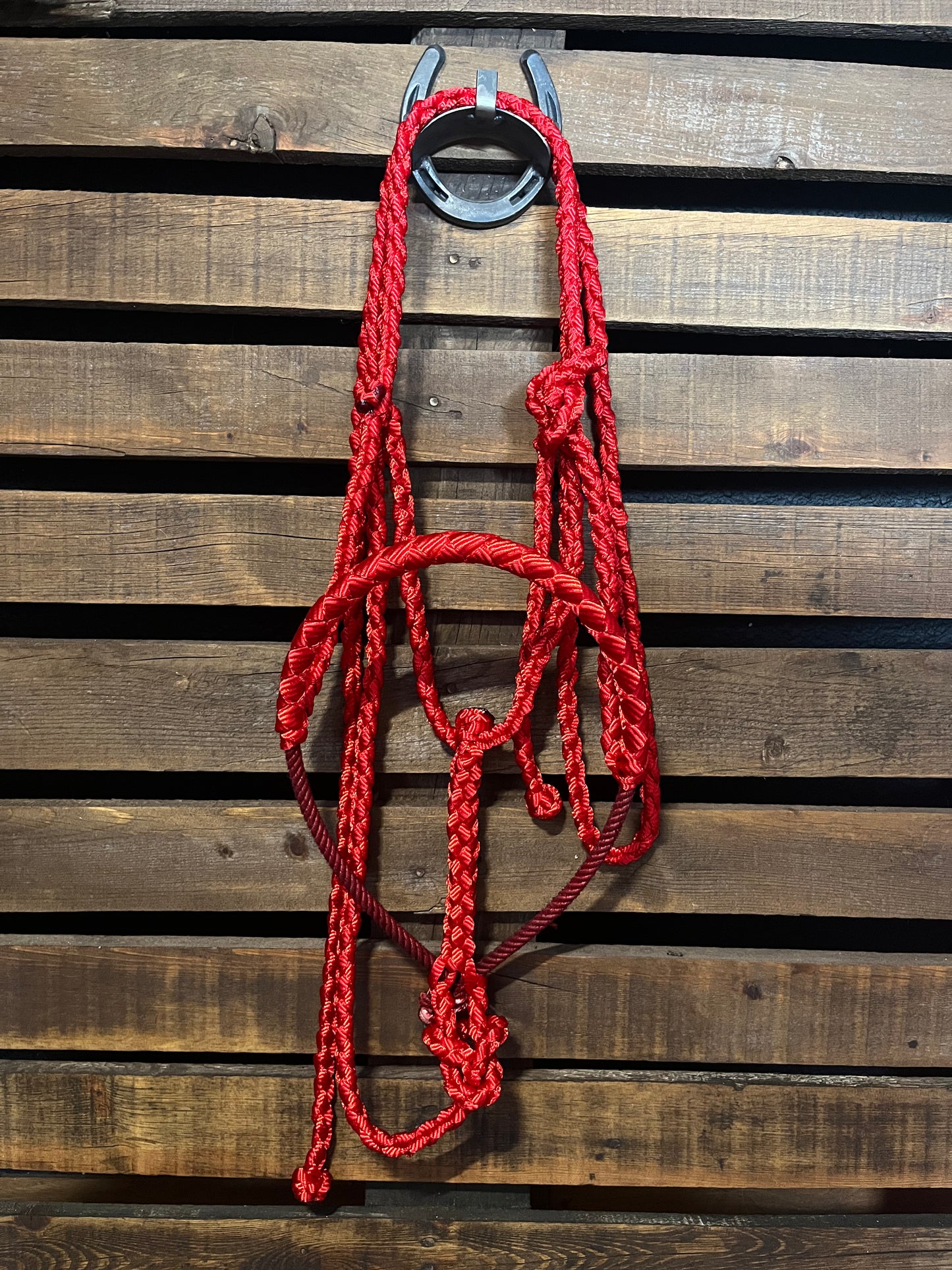 Red Lariat Horse Halter