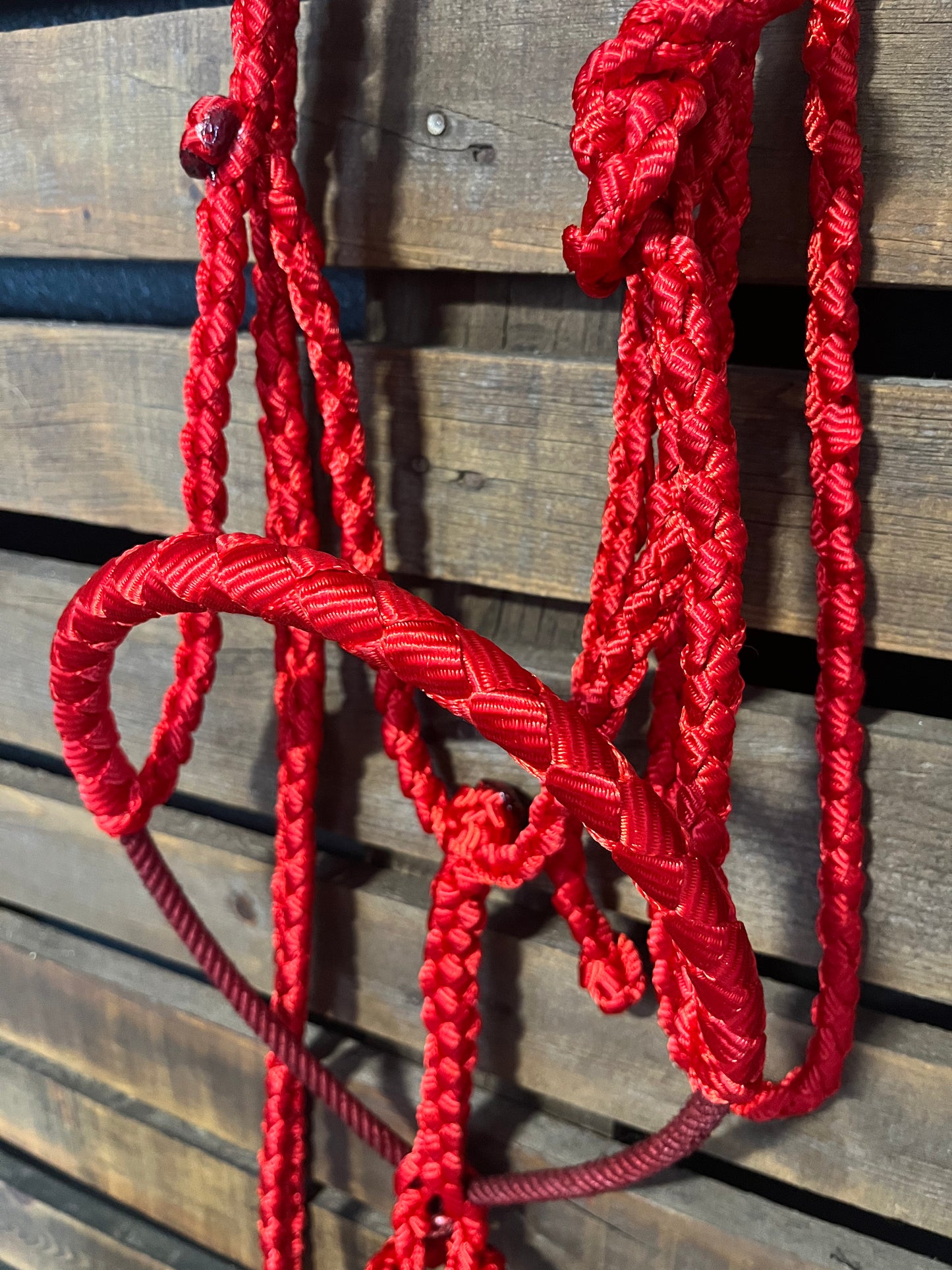 Red Lariat Horse Halter