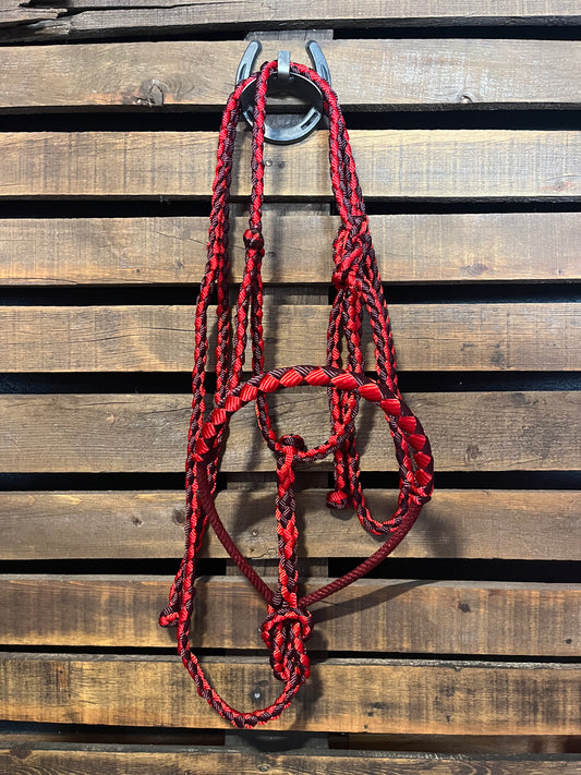 Burgundy & Red Lariat Horse Halter
