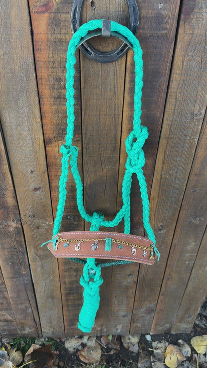 Coastal Charms Horse Halter | Mule Tape Halter with Lariat Nose Band
