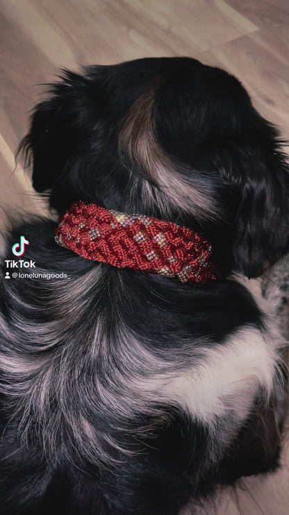 Rhinestone Mule Tape Dog Collar