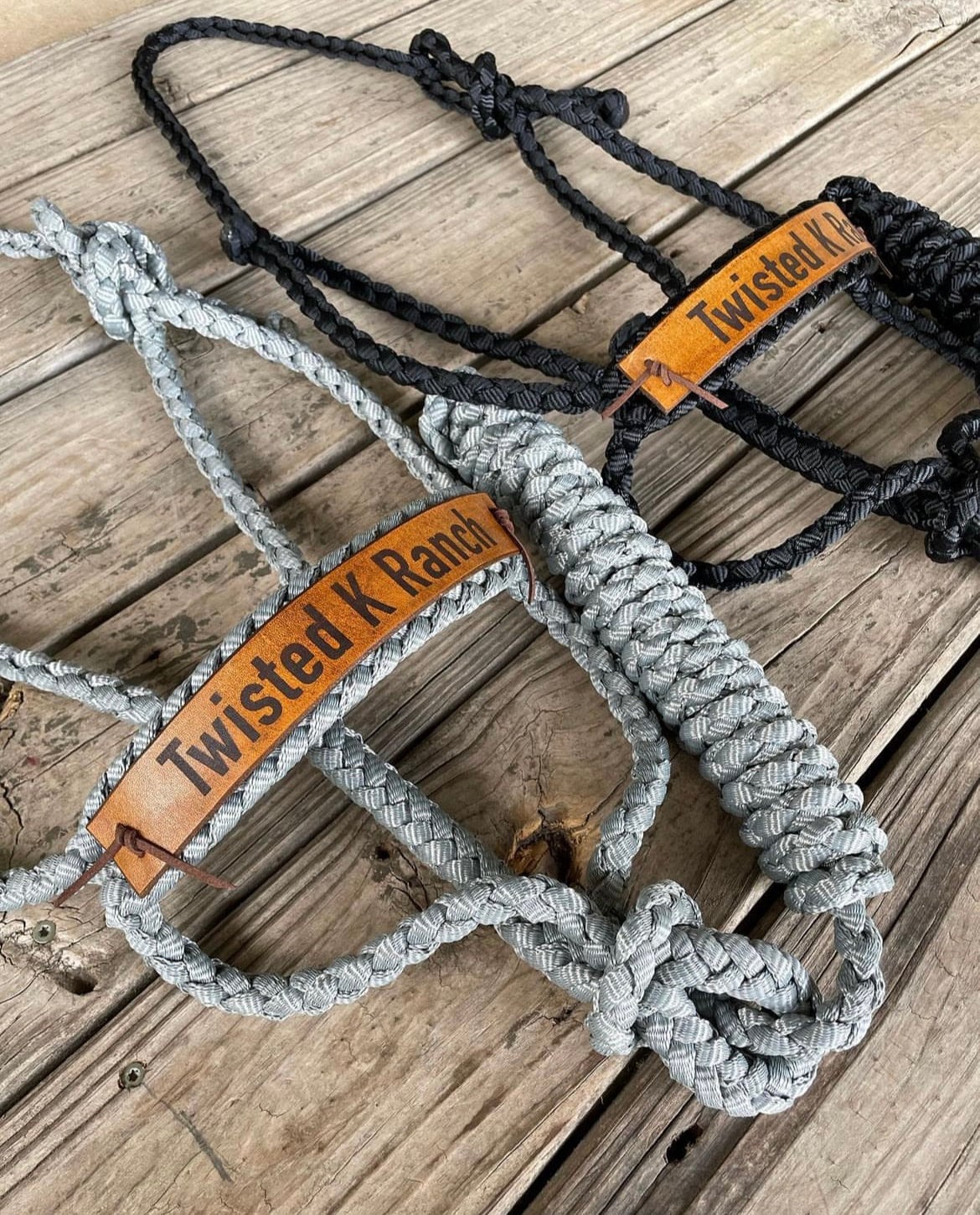 A custom leather nose band on mule tape halters